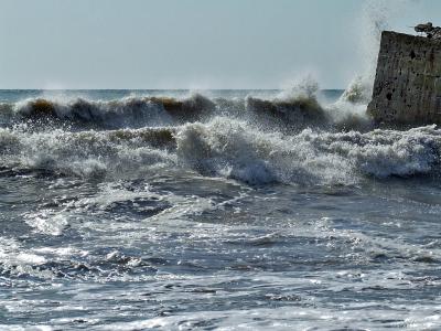 Прикрепленное изображение: DSCF7990.jpg